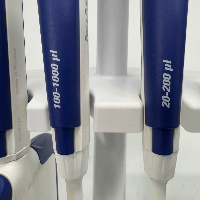 Fisherbrand Elite Pipettes W/Stand - Quantity 6 image 3